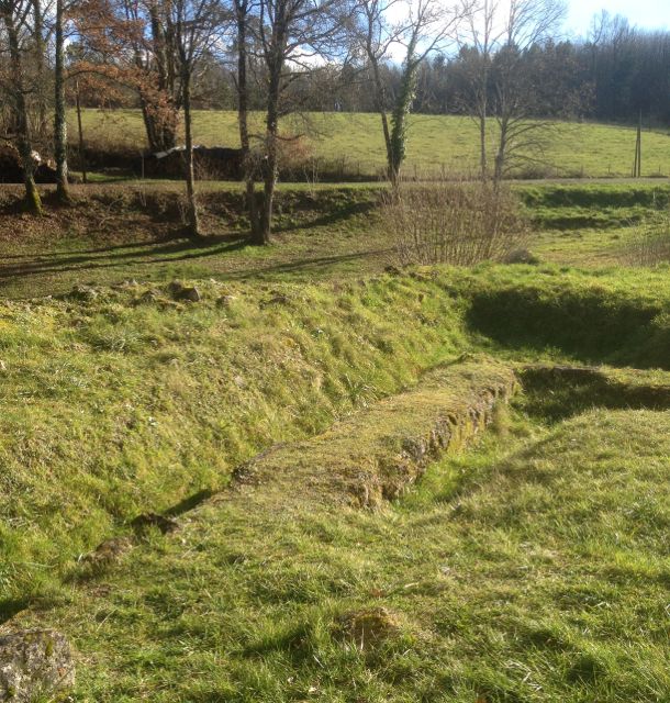 The mountain grass can not but hold the place where the mountain hare