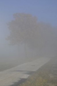 fog 1