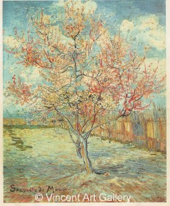 Pink Peach Tree in Blossom